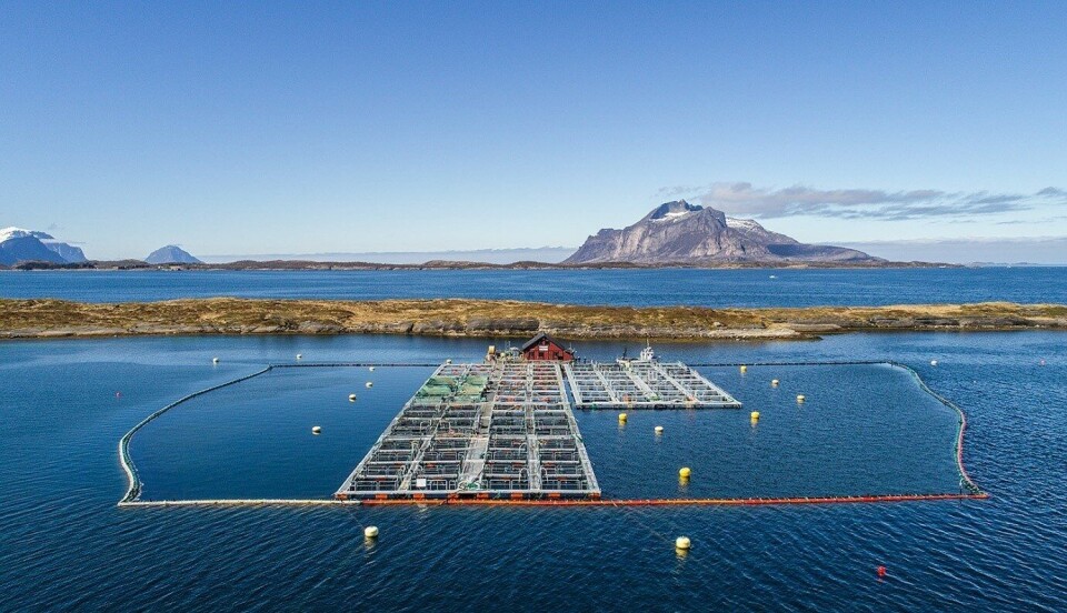 Gildeskål Forskningsstasjon (Gifas), lokalitet Langholmen. Foto: Baard Selfors.