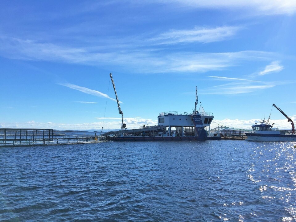Hydrolicer-avlusing. Foto: Sintef.