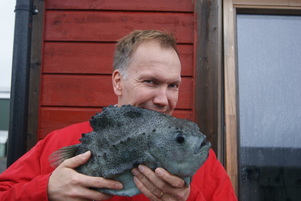 han holder en fin rognkjeks
