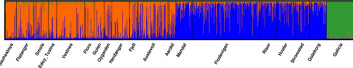 «Slektstre» for berggyltNår forskarane plottar dei genetiske markørane til dei 1025 berggyltene, klumpar dei seg saman etter likskap. Majoriteten av dei nordlege fiskane er éi gruppe (oransje) medan dei sørlege er i ei anna (blå). Dei spanske fiskane skil seg endå meir frå resten i grøn. Klikk for større bilete. Kilde: HI. 