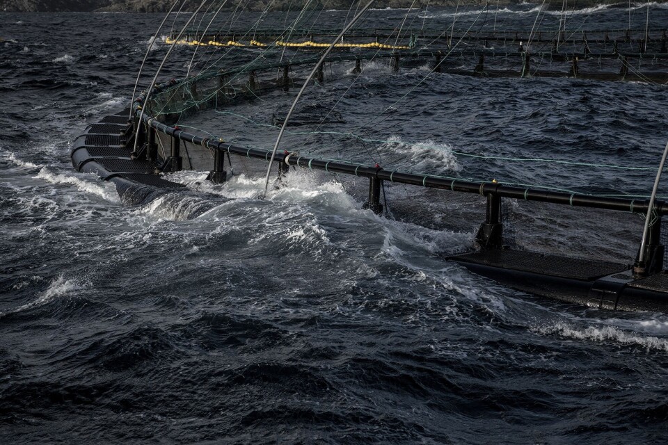 Lokalitet Flatholmen ligger utsatt til i havgapet. Foto: Akva Group