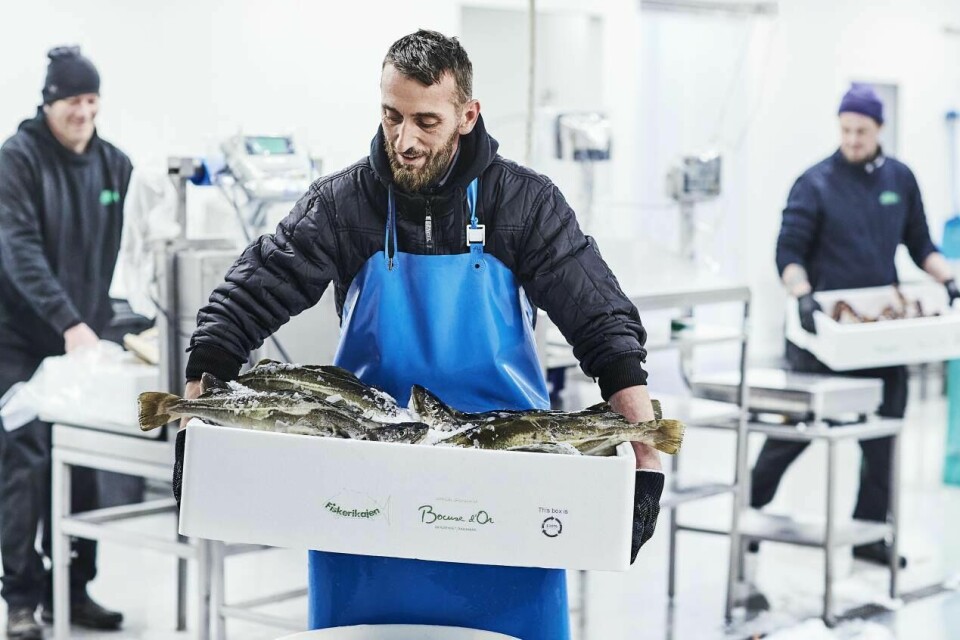 Norcod torskeprøver ankommer Danmark. Klikk for større bilde. Foto: Norcod.