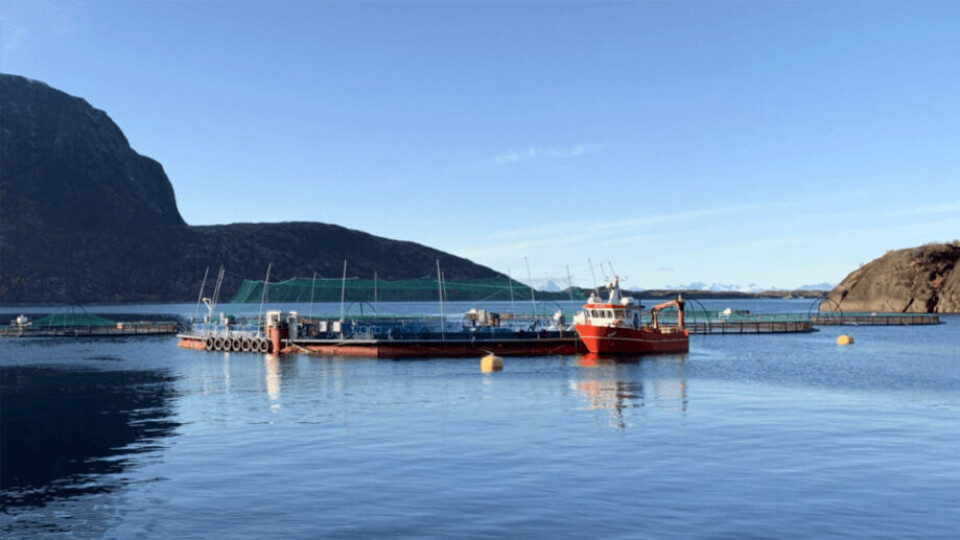Et Fiizk semi-lukket system i Norge er en av to leverandører som blir vurdert av LLS i Skottland. Foto: Fiizk.