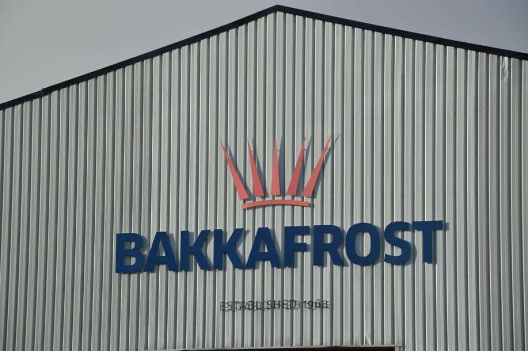 Bakkafrost har vist evne til å reagere raskt på en «blackswan-hendelse», mener Nordea.