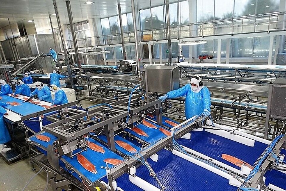 Det er utfordrende markedsforhold for de chilenske oppdretterne, men man opplever også betydelig vekst i etterspørselen etter frosne porsjoner fra supermarkeder som følge av økt hjemmekonsum. Foto: Salmonexpert.cl Det er utfordrende markedsforhold for de chilenske oppdretterne, men man opplever også betydelig vekst i etterspørselen etter frosne porsjoner fra supermarkeder som følge av økt hjemmekonsum. Foto: Salmonexpert.cl