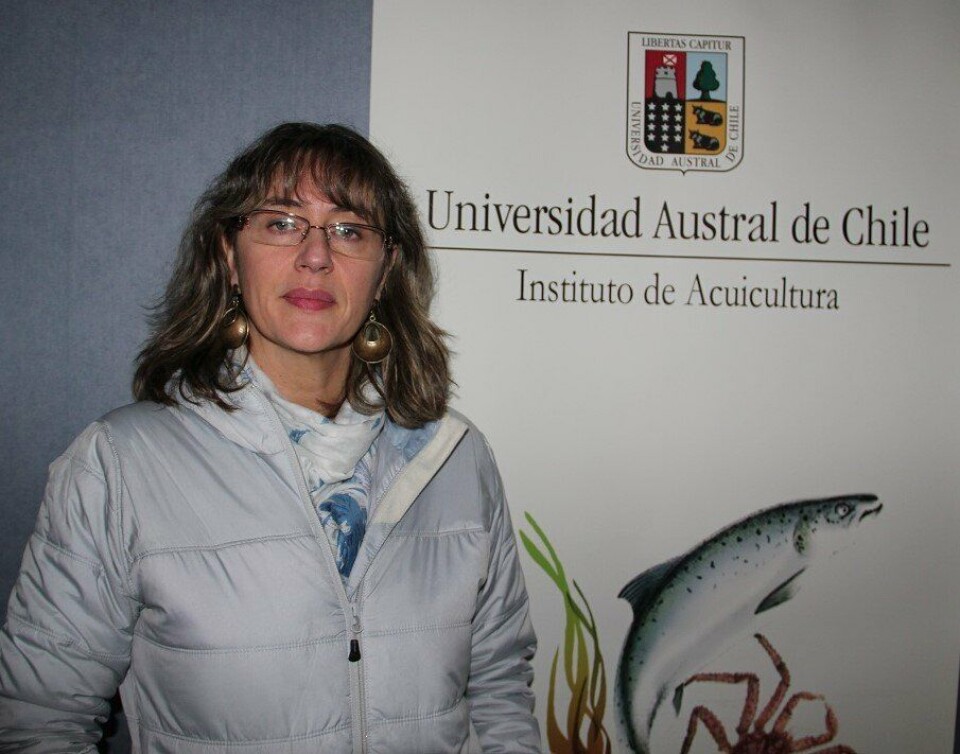 Sandra Marin er forsker ved «Universidad Austral de Chile» som ligger i Puerto Montt. Foto: UACh.