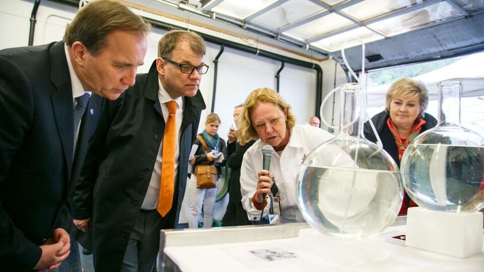 Stabil yngelproduksjon er ein suksessfaktor i kveiteoppdrett. Forskar Birgitta Norberg viser fram yngel til den svenske statsministeren Stefan Löven, den finske statsministeren Juha Sipilä og vår eigen statsminister Erna Solberg. Foto: Erlend Astad Lorentzen.