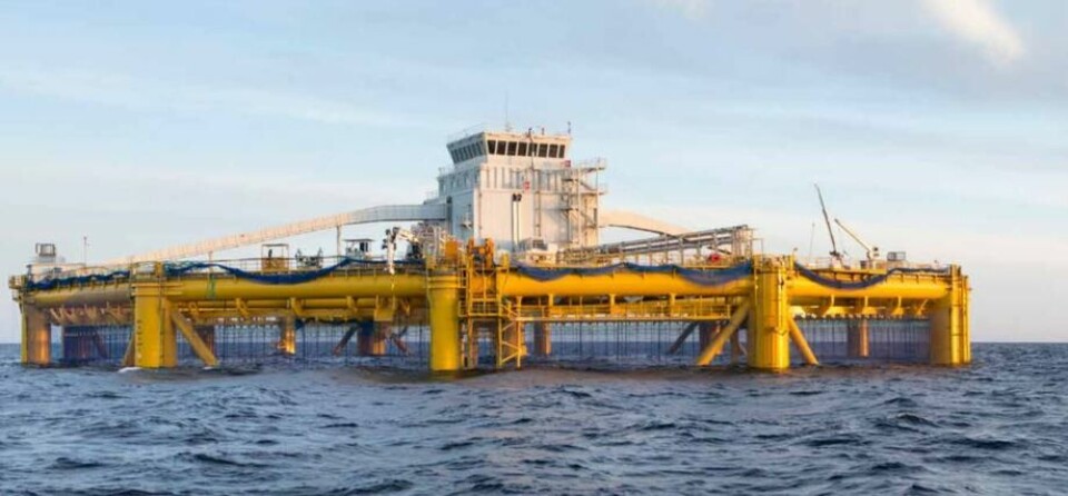 Den første runden med fisken fra Ocean Farm 1 er utslaktet, presterte godt biologisk og har bidratt til SalMars store slaktevolumer i 2018. Foto: Salmar.