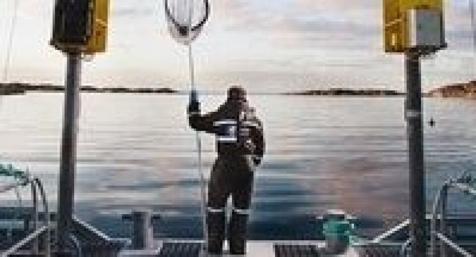 Salmar kan måtte se seg om etter andre lokaliteter. Foto: Salmar