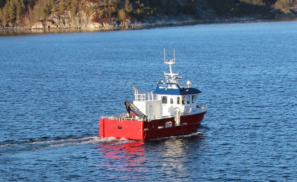 Servicebåten «Børfjord» er sjette leveransen fra Moen Marin AS på Kolvereid til Norwegian Royal Salmon. Foto: Moen Marin