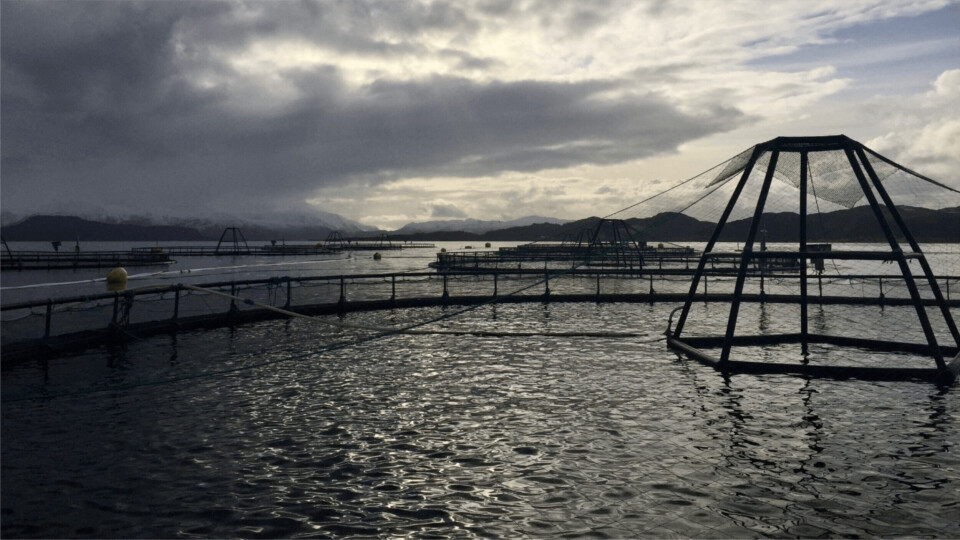 Illustrasjonsfoto: Svanøy Havbruk