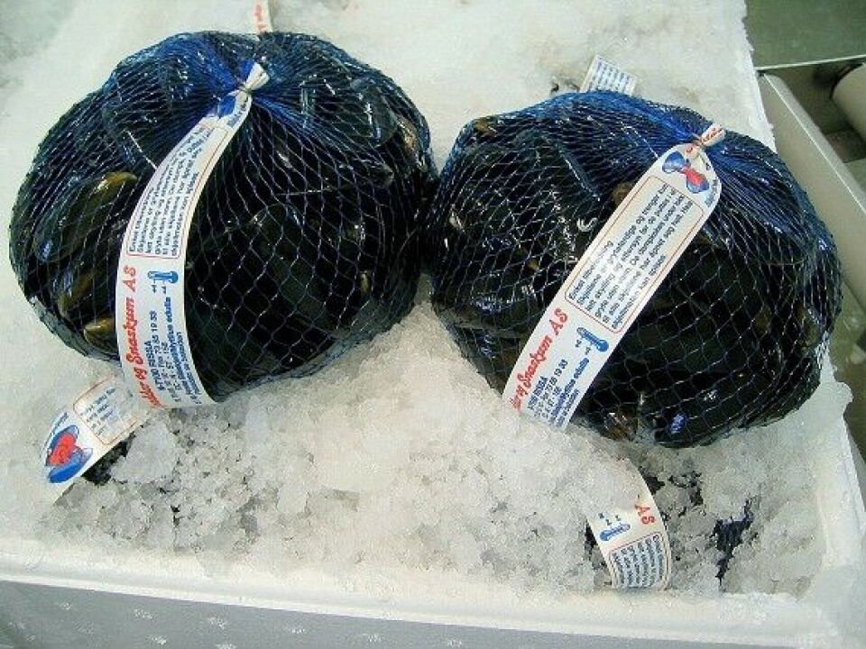 Snadder og Snaskum er Norges eldste blåskjellprodusent og er godt etablert i markedet med blåskjellnett. Foto: arkiv.