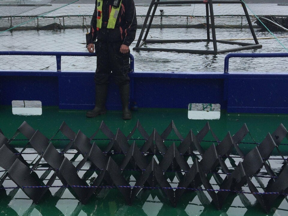 På en Marine Harvest lokalitet i Kvinnherad kommune har pilotskjulet blitt testet. Her ser du det på dekk på en av båtene til MH. Siden pilottestene ble gjort, har selskapet re-designet og optimalisert skjulet som nå settet i produksjon. Foto: Estro AS. På en Marine Harvest lokalitet i Kvinnherad kommune har pilotskjulet blitt testet. Her ser du det på dekk på en av båtene til MH. Siden pilottestene ble gjort, har selskapet re-designet og optimalisert skjulet som nå settet i produksjon. Foto: Estro AS.
