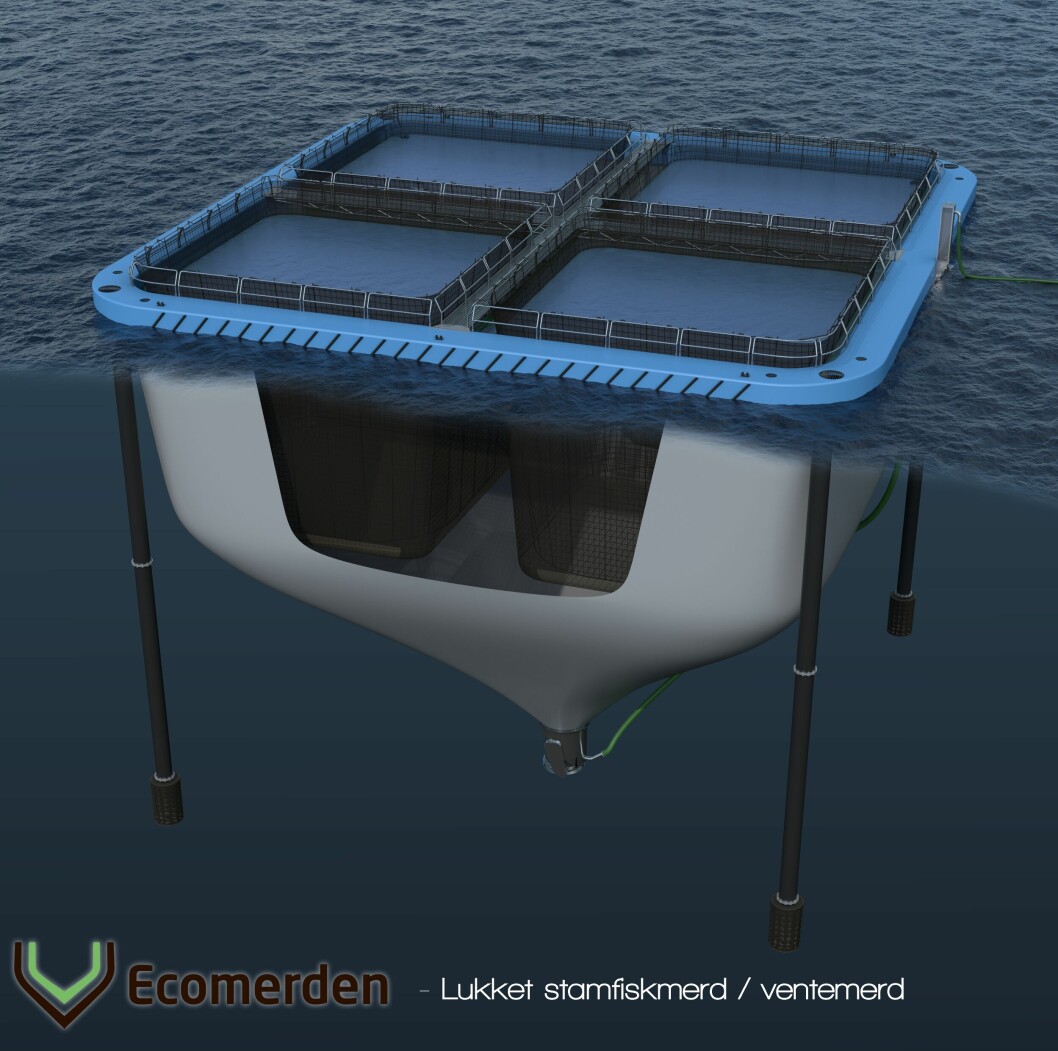 Ecomerden har designet en lukket merd  som kan brukes for hold av stamfisk eller som slakte/ventemerd. Illustrasjon: Ecomerden.