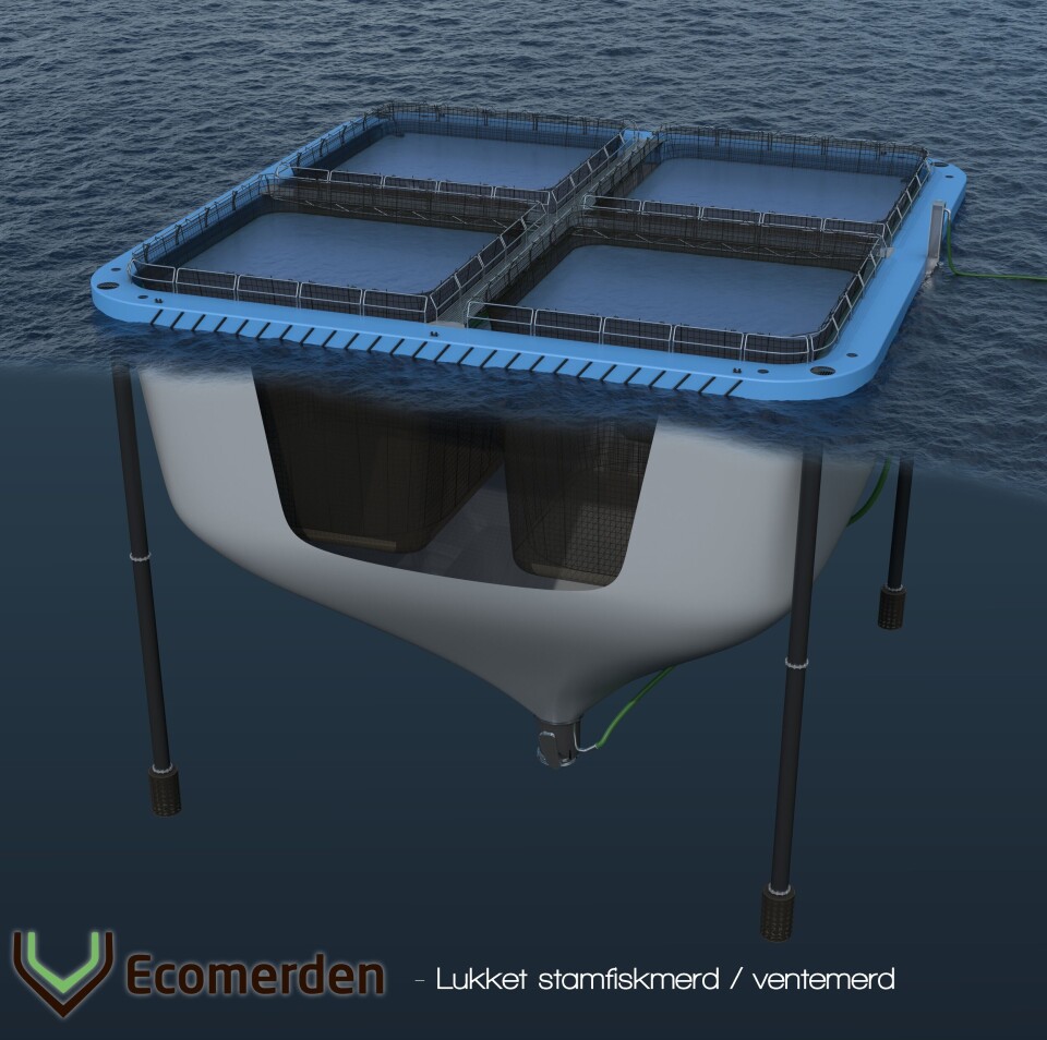 Ecomerden har designet en lukket merd som kan brukes for hold av stamfisk eller som slakte/ventemerd. Illustrasjon: Ecomerden.