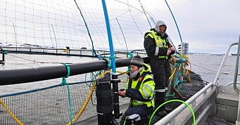 Ecotone tester ut luseteller i sjø – komplett system skal være klart i løpet av neste år