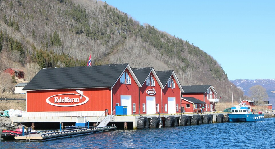 Landbasen til Edelfarm i Saltdal. Foto: Designia Landbasen til Edelfarm i Saltdal. Foto: Designia