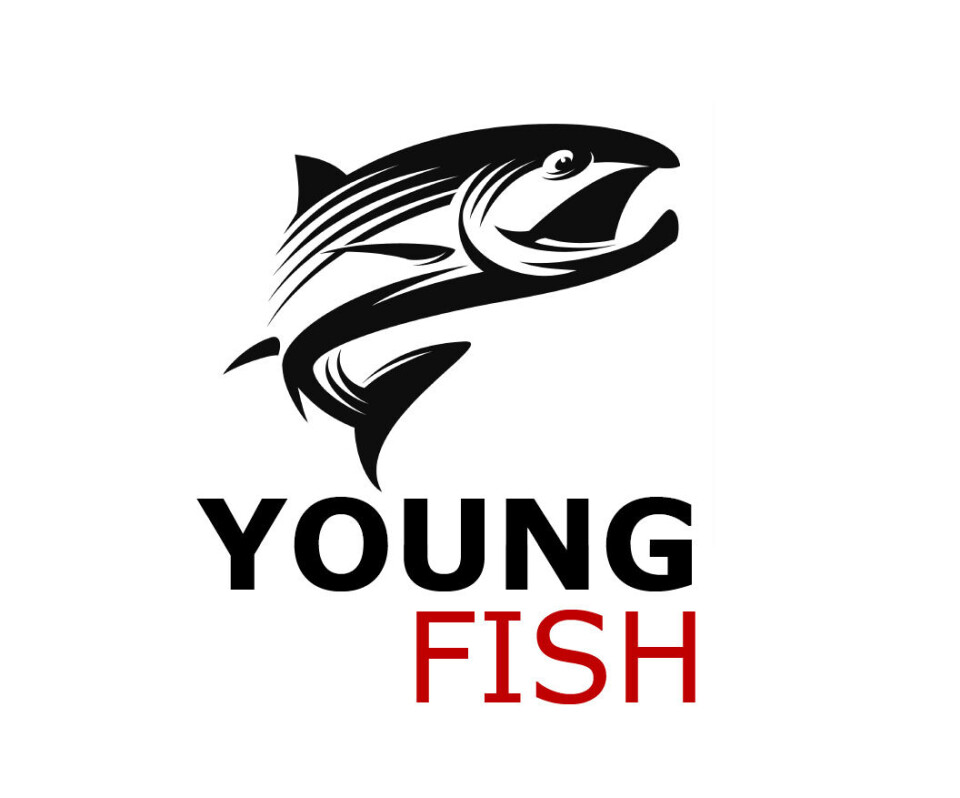 Nytt styre i Youngfish