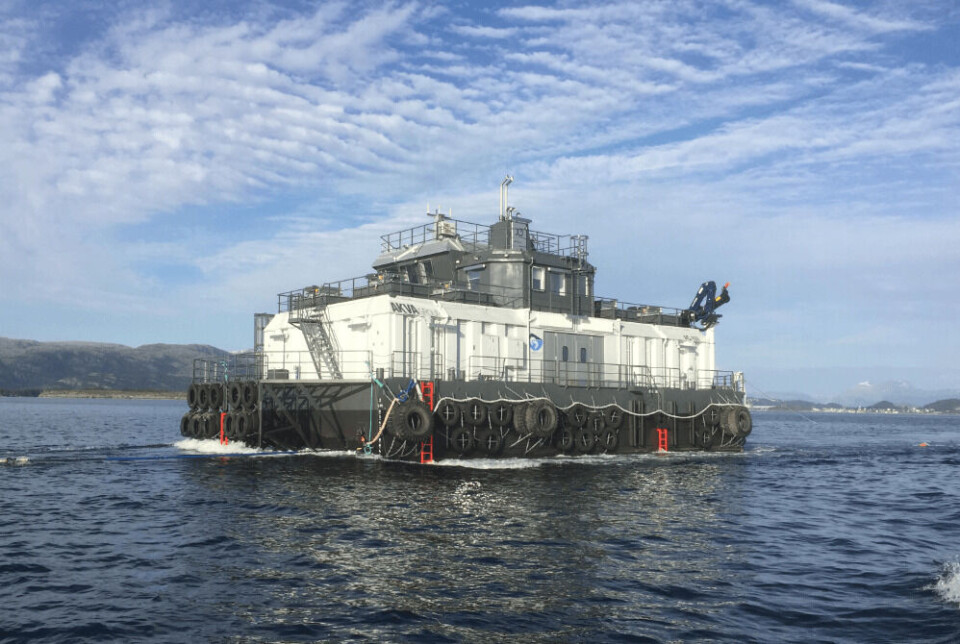 Fôrflåten Borghild. Foto: Salmon Group.