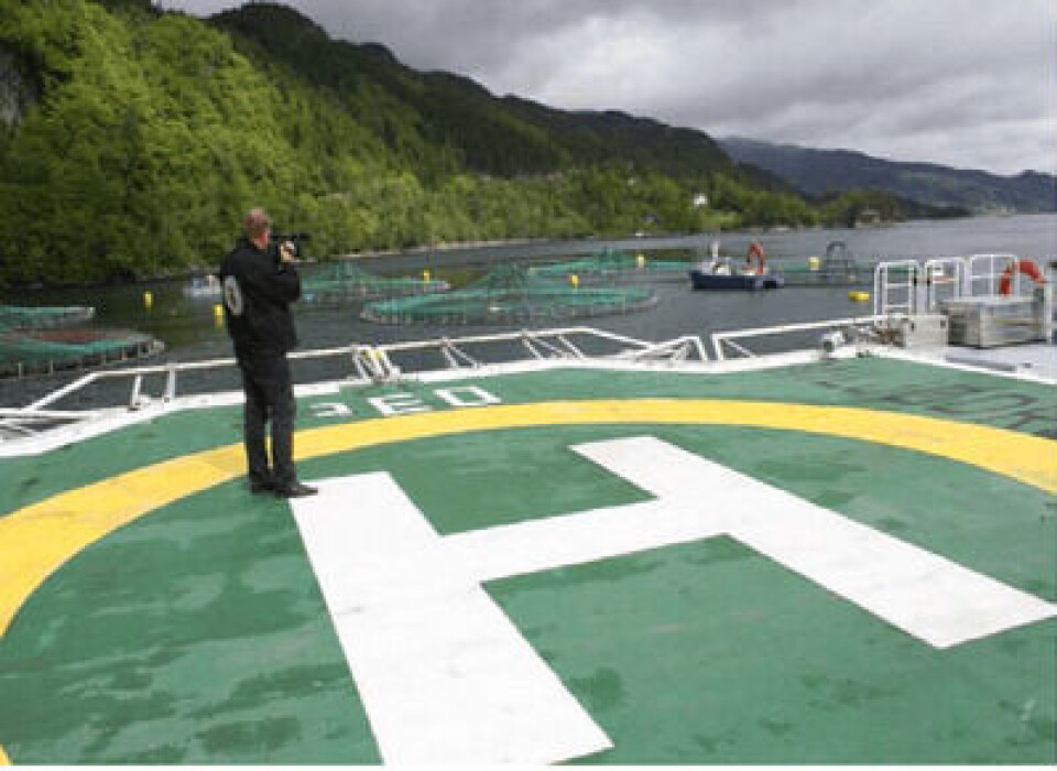 Oddekalv legger til rette for helikoptertrafikk