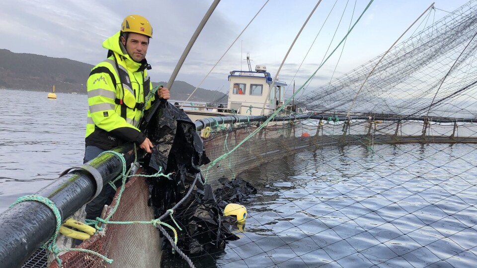 Atle N. Kristoffersen ved merdkanten. Foto: OK Marine