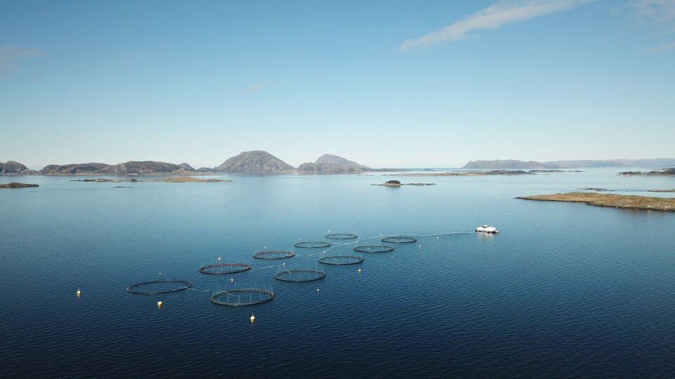 Bryton Shang startet Aquabyte med en idé om å bruke maskinlæring og datasyn til å effektivisere fiskeoppdrett enda mer.