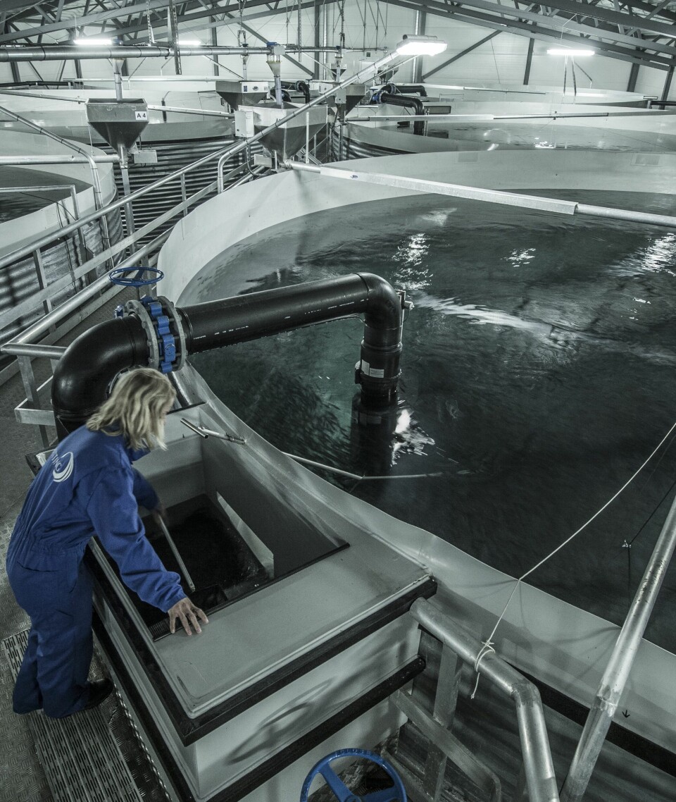 Smoltanlegget til Sisomar er i stadig utvikling, nå vil selskapet satse på enda større smolt. Her inspiserer Ida at alt er som det skal i hallen. Foto: Sisomar.