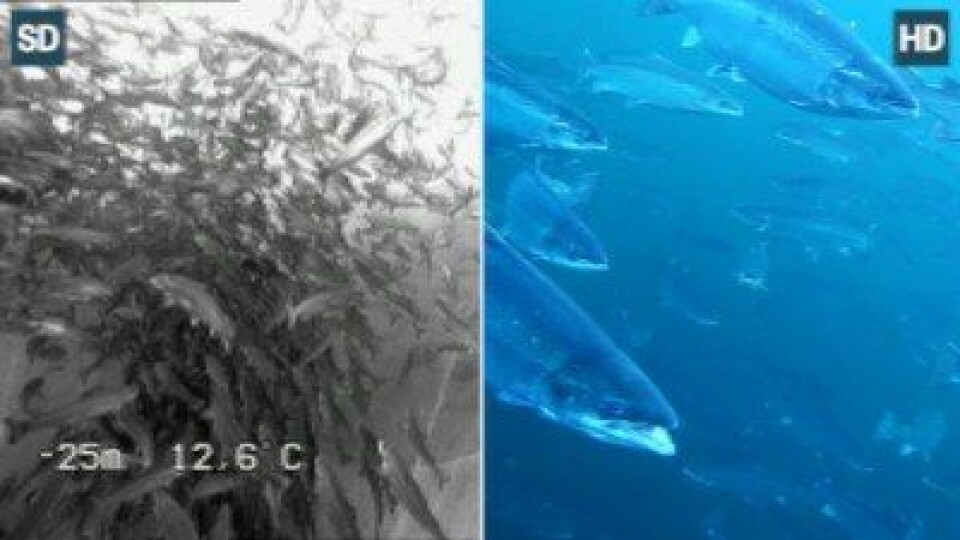 Omlegging til fjerndrift ga raske resultater