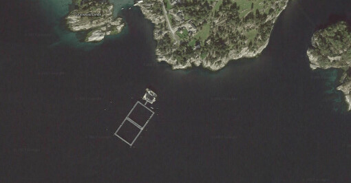 Engesund Fiskeoppdrett vil utvide i Masfjorden