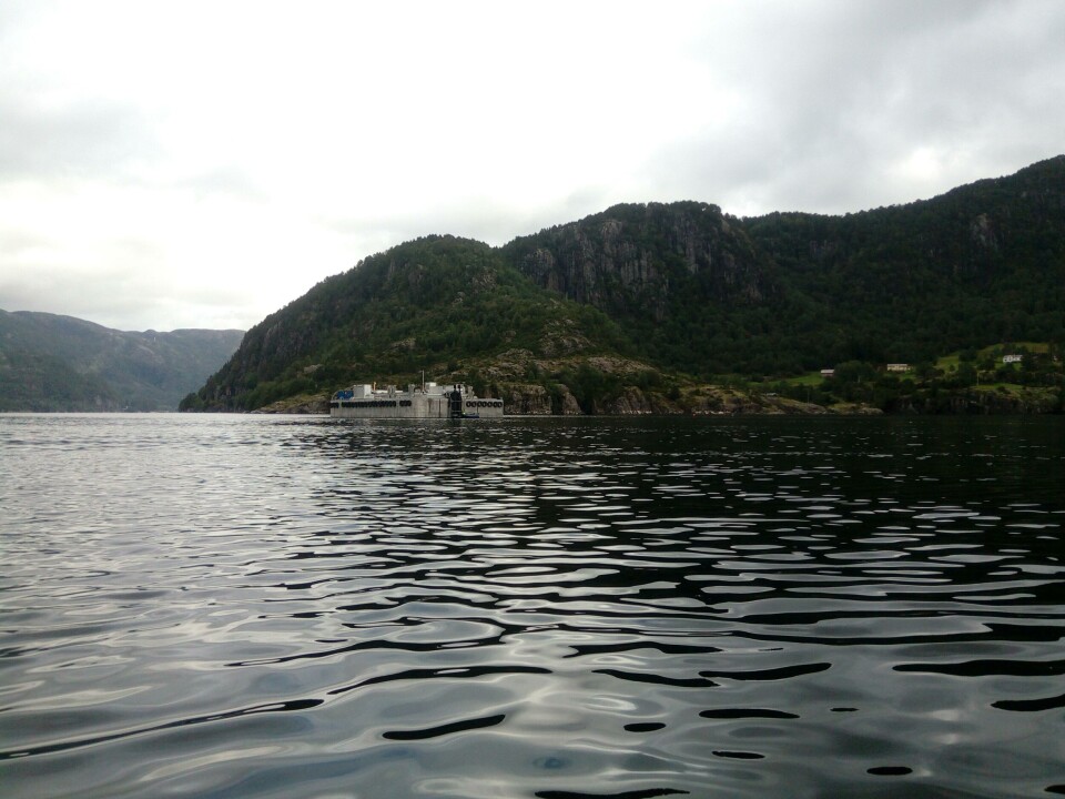 Engesund-merden er forankret ved lokaliteten Ådnekvamme i Masfjorden. I oktober fylles den med fisk. Foto: Engesund Fiskeoppdrett.