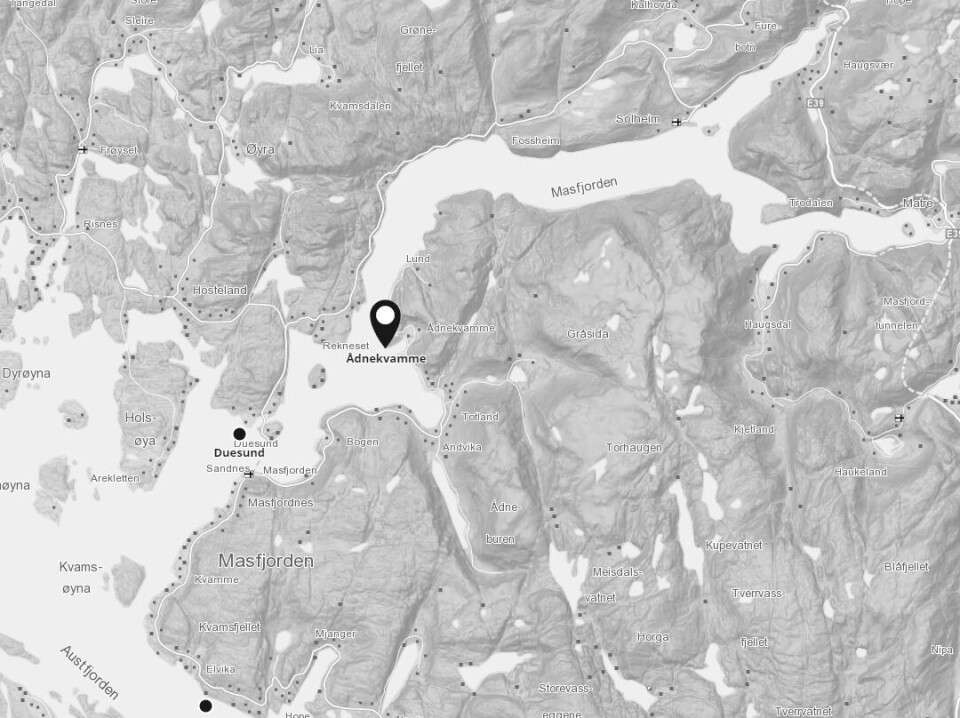 Engesund Fiskeoppdrett må redusere biomasse ved sin lokalitet Adnekvamme, i Masfjorden. Screenshot: Barentswatch.no