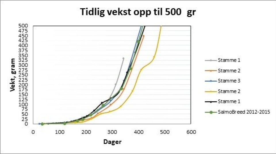 Fig. 1: Vekt i gr. Fra startfôring frem til 500 gr