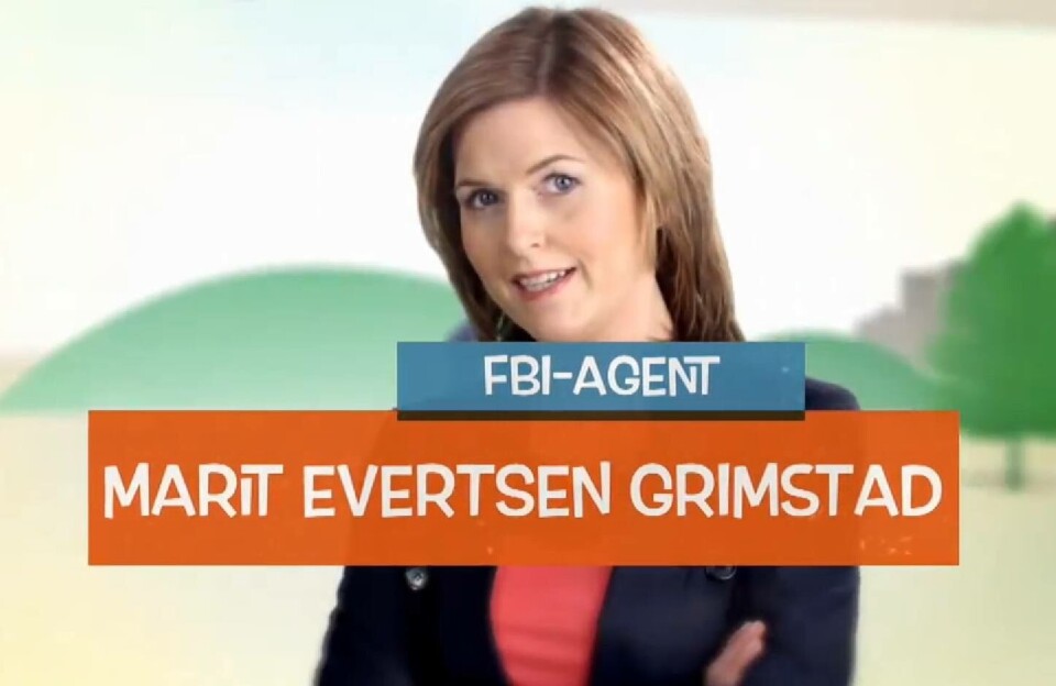 Marit Evertsen Grimstad, Forbrukerinspektørene