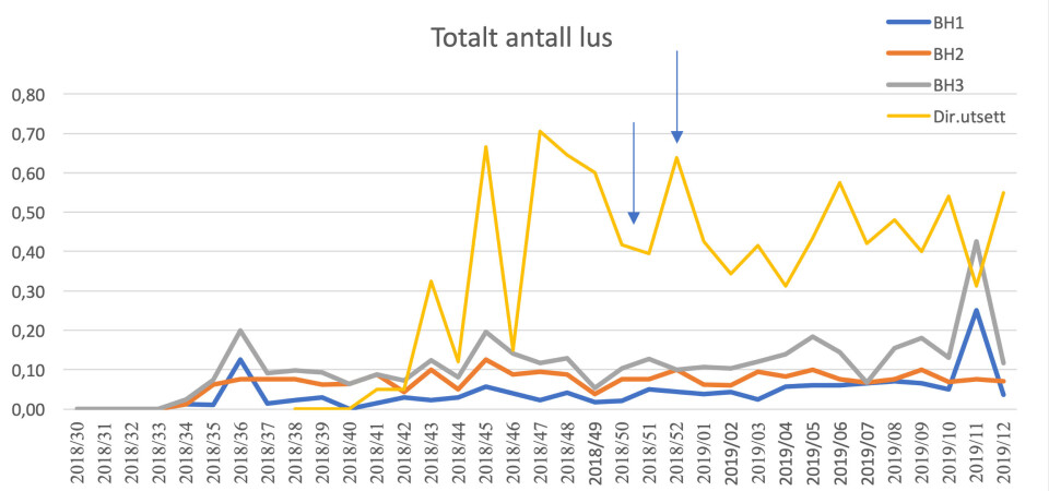 Figur 4: Forskjell i lusenivå mellom barnehagelokaliteter (BH1-3) og direkteutsett (dir.utsett). Behandling med Slice i uke 51 og ferskvann i uke 52 for direkteutsettet. Barnehagelokalitetene er ubehandlet. Totalt antall lus er sum fastsittende, bevegelige og kjønnsmodne hunnlus.