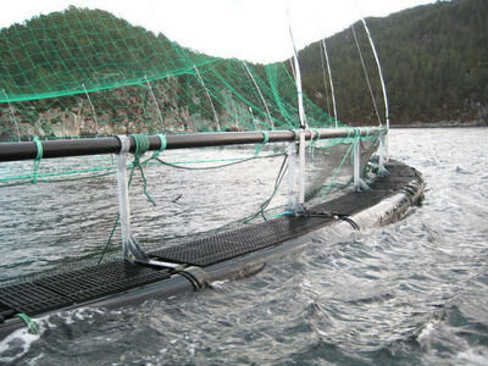 Foto: Fiskeridirektoret.