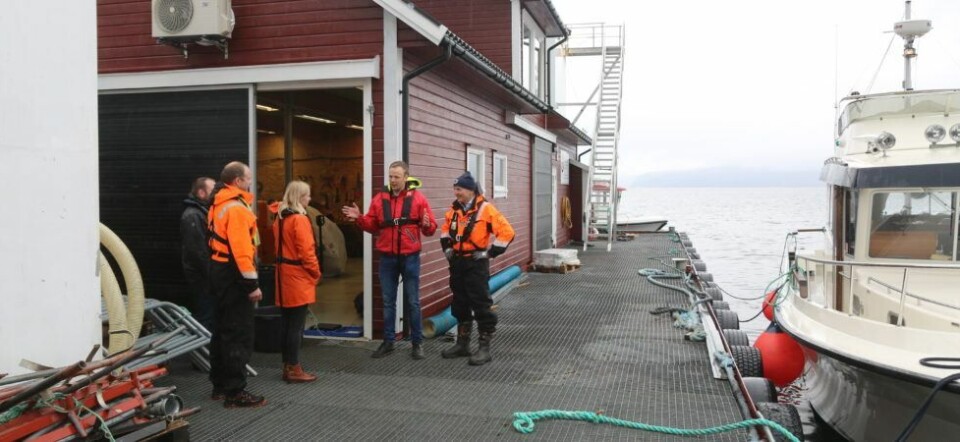 Her på Hågardsneset vonar Eide fjordbruk å få løyve til å ta i mot besøk frå turistar og fastbuande. Foto: Morten Nygård, Grenda.
