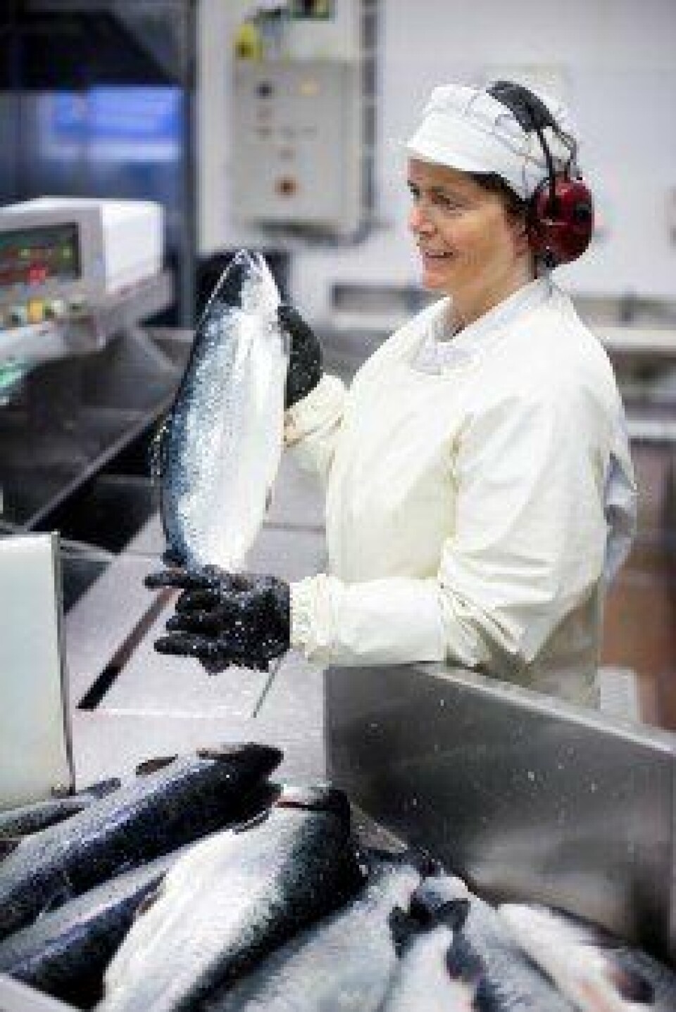 Illustrasjonfoto fra slakteri. Foto: Cermaq.