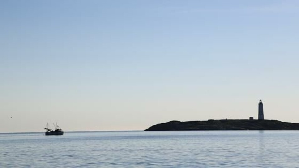 Fiskebåt. Foto: Espen Bierud, Havforskningsinstituttet.