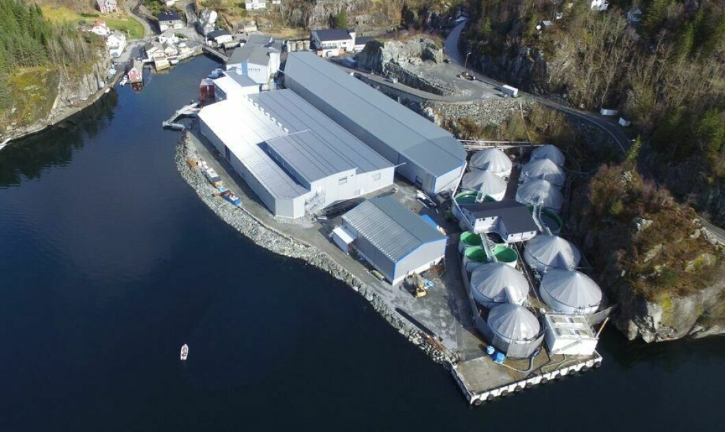 Oversiktsbilde av Sævareid Fiskeanlegg. På dette anlegget fikk de på plass en ny RAS-hall i 2017. Foto: Knut Revne.