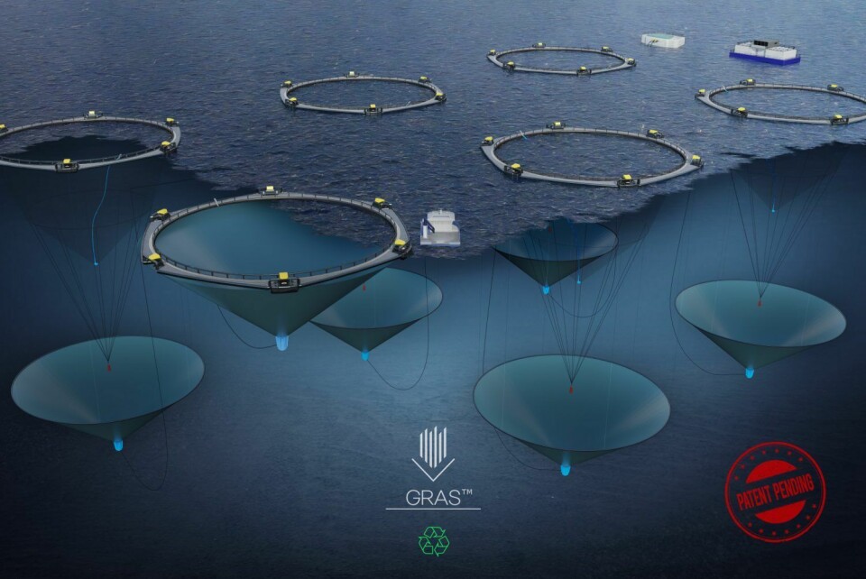 Bolaks i samarbeid med LiftUp har søkt om seks utviklingskonsesjoner på GRAS-konsept. Illustrasjon: Bolaks/LiftUp.