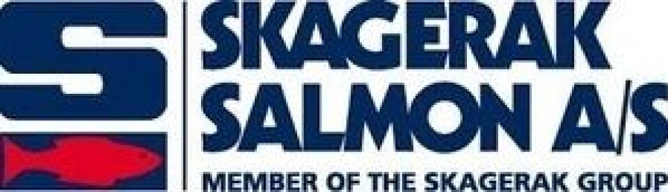 Oppsigelser truer Skagerrak Salmon