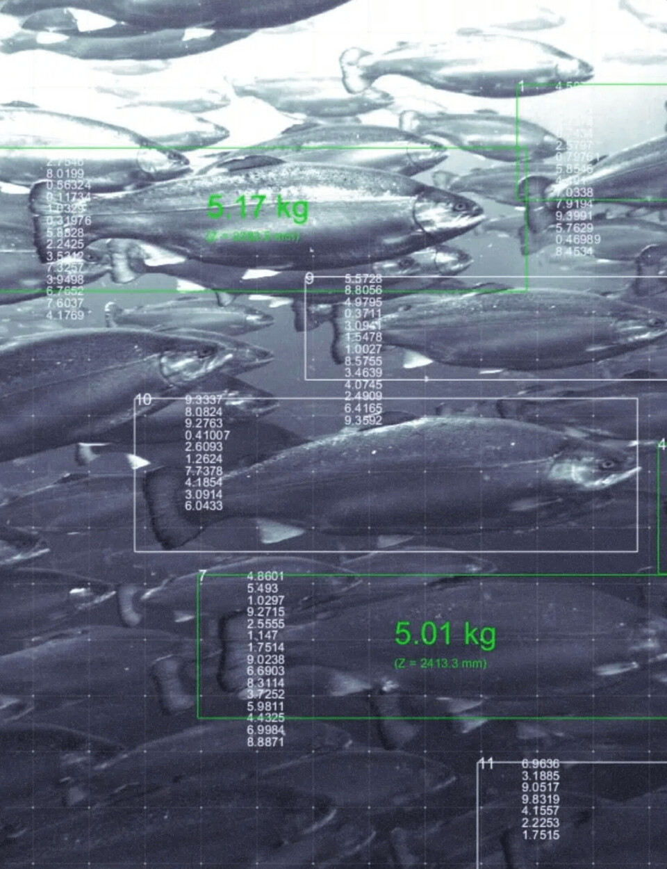 Det var med biomassemåling det hele begynte. Fasiten på nøyaktigheten av beregningene får man når fisken er slaktet, og den er ifølge daglig leder i OptoScale, Sven Kolstø, svært god. Foto: OptoScale