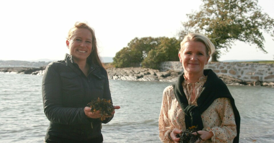 Edel Anita Westhagen, produktutviklingsdirektør i Orkla Foods Norge og initiativtaker til Orkla Ocean (til venstre) og Ann-Beth Freuchen, konserndirektør i Orkla.