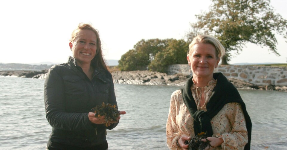 Edel Anita Westhagen, produktutviklingsdirektør i Orkla Foods Norge og initiativtaker til Orkla Ocean (til venstre) og Ann-Beth Freuchen, konserndirektør i Orkla. Edel Anita Westhagen, produktutviklingsdirektør i Orkla Foods Norge og initiativtaker til Orkla Ocean (til venstre) og Ann-Beth Freuchen, konserndirektør i Orkla.