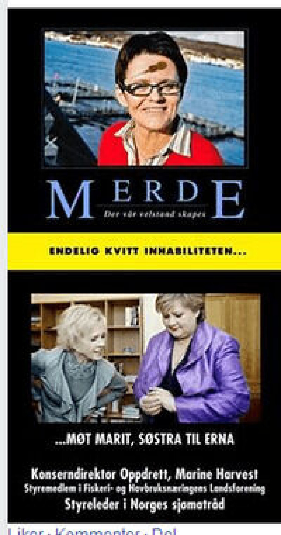Overrasket over netthetsen