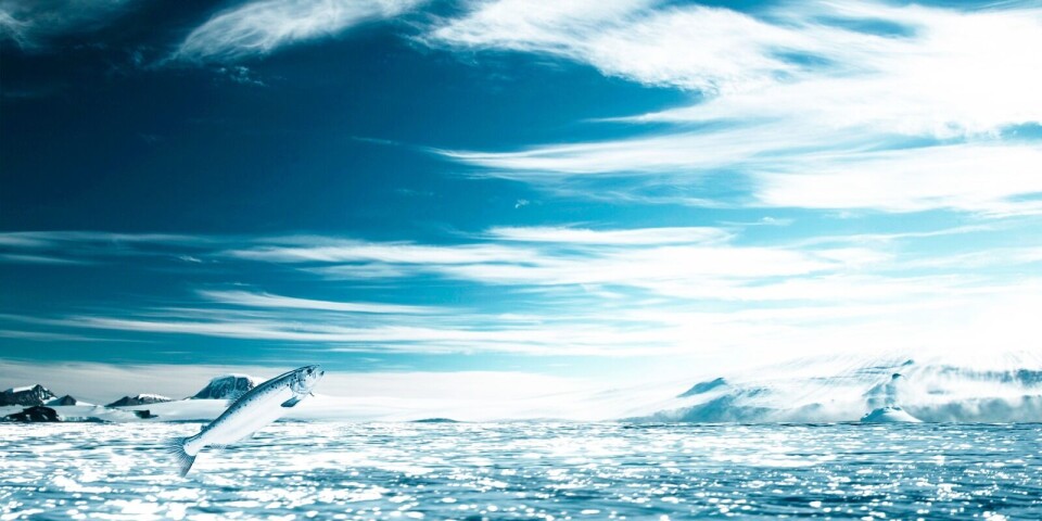 Illustrasjonsfoto Ocean Supreme.