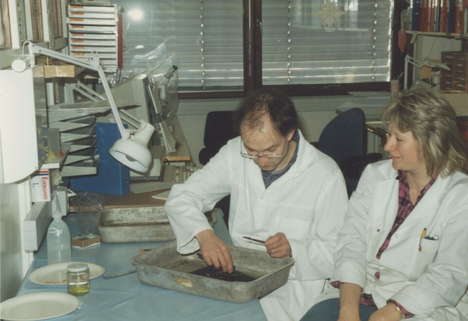 Labora deler gjerne bilder fra sine tidlige dager med fiskehelse. Foto: Labora.