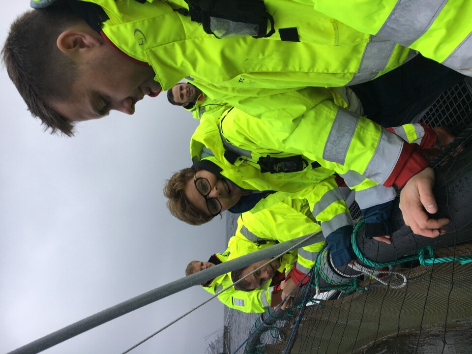 Fylkesordførar Anne Gine Hestetun (Ap) vitja Lingalaks ansatte på merdkanten. Foto: Lingalaks.