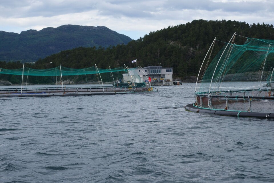 På Lokaliteten Mælen i Sunnhordland har Alsaker skilt som står på både tysk og norsk gjeldande kor nærme folk kan fiska ved anlegget, likevel har vågale fiskarar sneke seg inn på merdkanten å fiska. Foto: Alsaker konsernet.