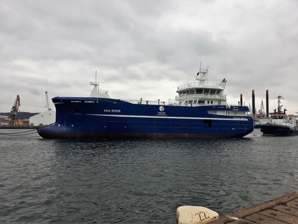 Aqua Merdø er den nye slaktebåten til rederiet Dess Aquaculture. Her avbildet med avgang fra Polen. Foto: Myklebust Verft.